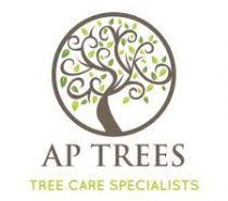 AP Trees (Kent) Ltd – TREE SURGEONS – Medway