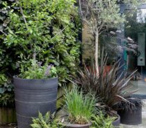 Leafy Horticulture Limited – GARDEN DESIGNER OF LIVING WALLS – London