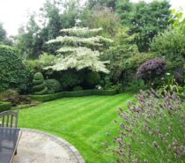 Gardening Indeed Ltd – GARDEN DESIGN AND LANDSCAPING – Wimbledon, Wandsworth, Hammersmith/Fulham and Kingston