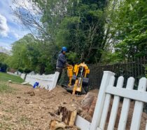 Folium Tree Surgery Ltd – TREE SURGEONS – Runnymede and Weybridge