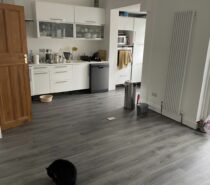 Ashdon Construction Ltd – BUILDERS – Brent