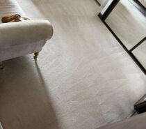 Rightway Carpet Cleaning – CARPET, UPHOLSTERY AND HARD FLOOR CLEANERS – East Hampshire