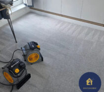 HM Cleaning Ltd – CARPET AND UPHOLSTERY CLEANERS – Lambeth